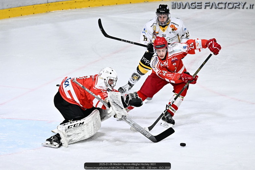 2025-01-06 Mastini Varese-Alleghe Hockey 3831